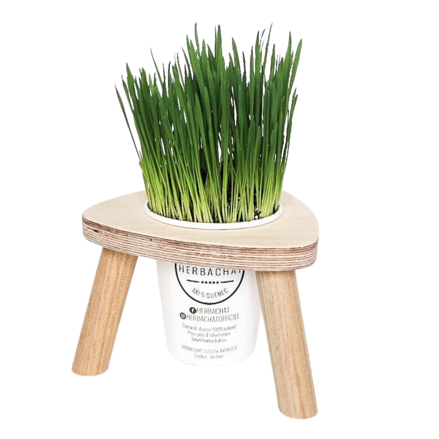 Station demi-portion